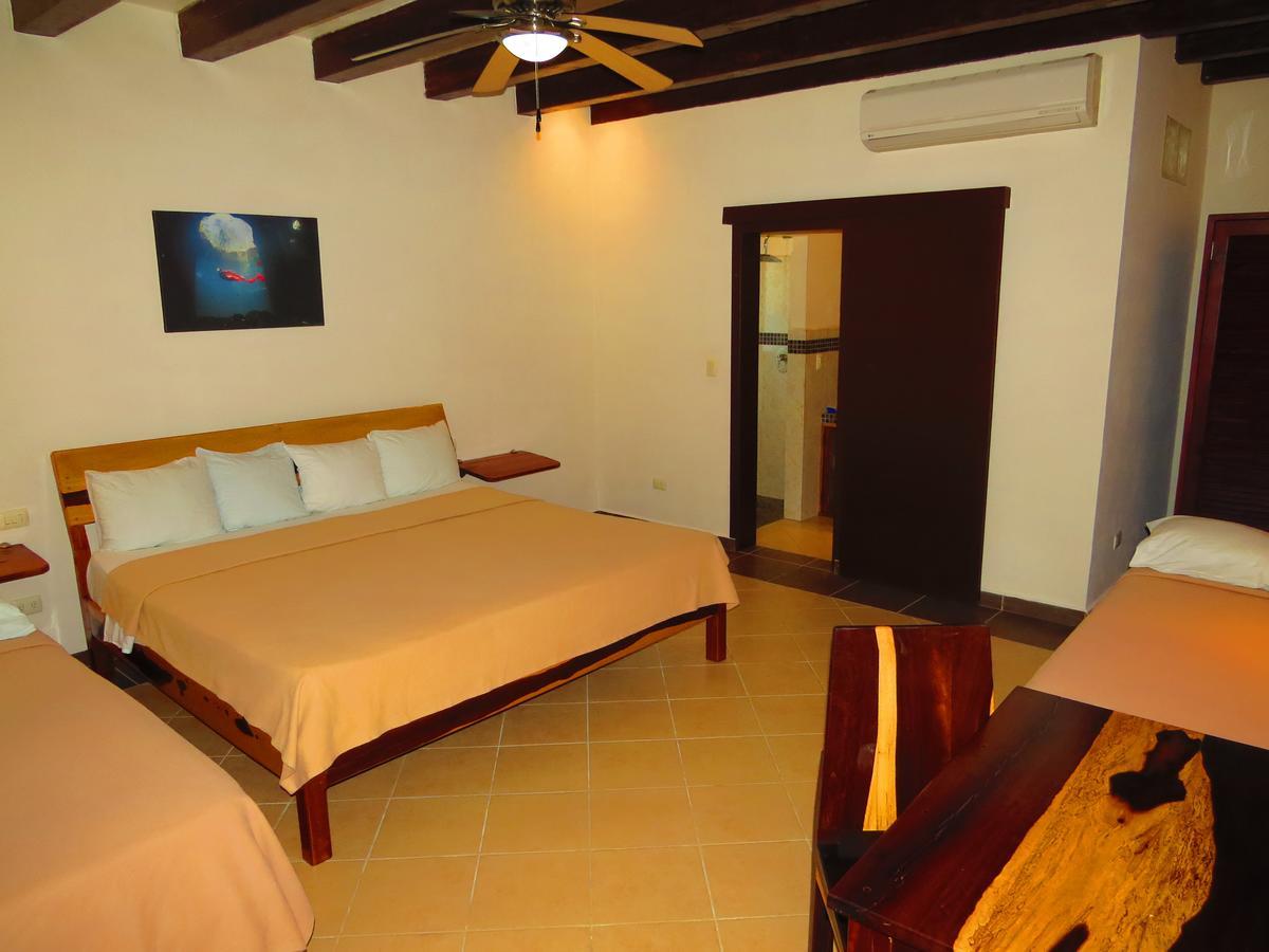 טולום Xibalba Hotel Dive Center חדר תמונה