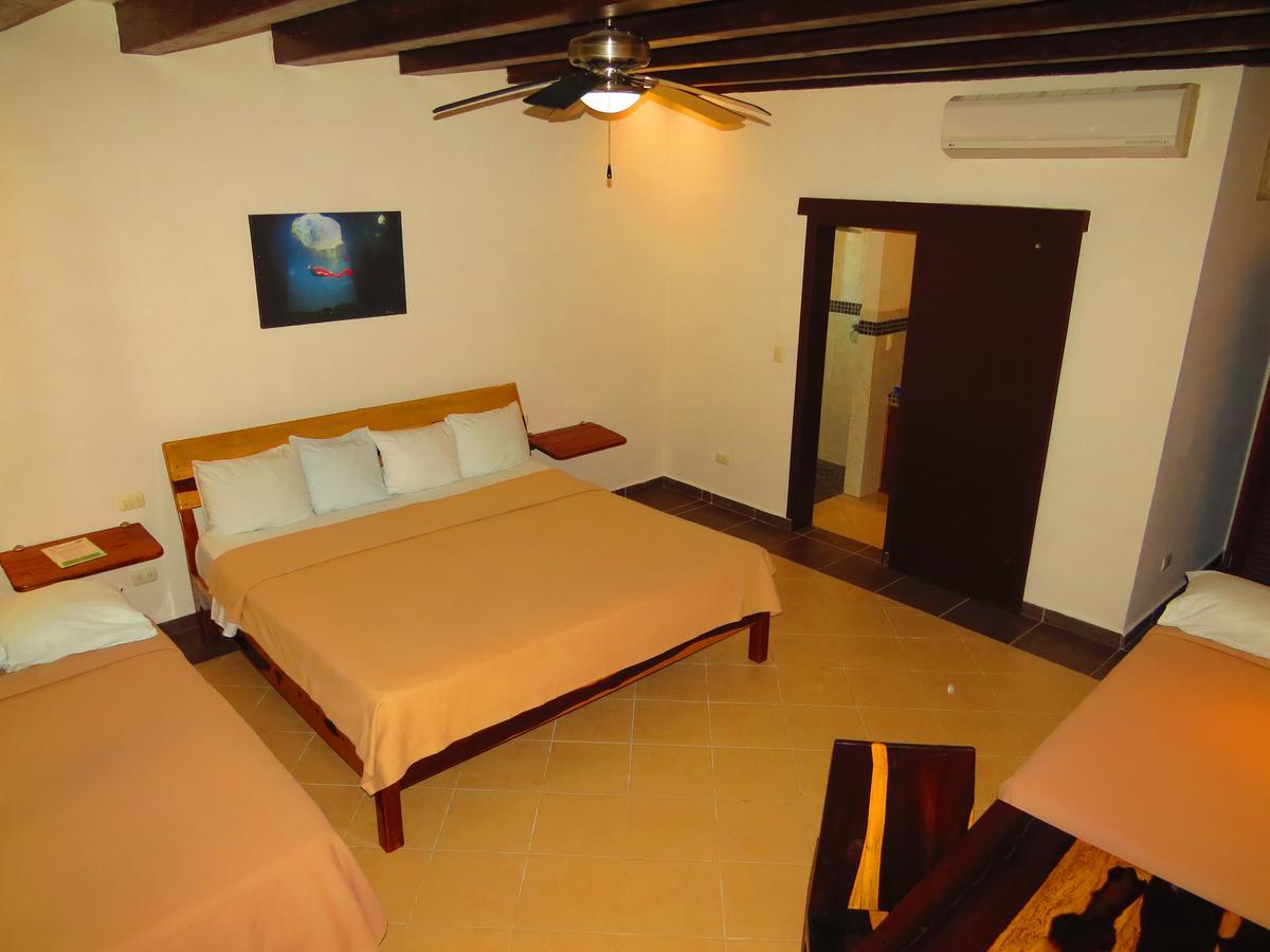 טולום Xibalba Hotel Dive Center חדר תמונה