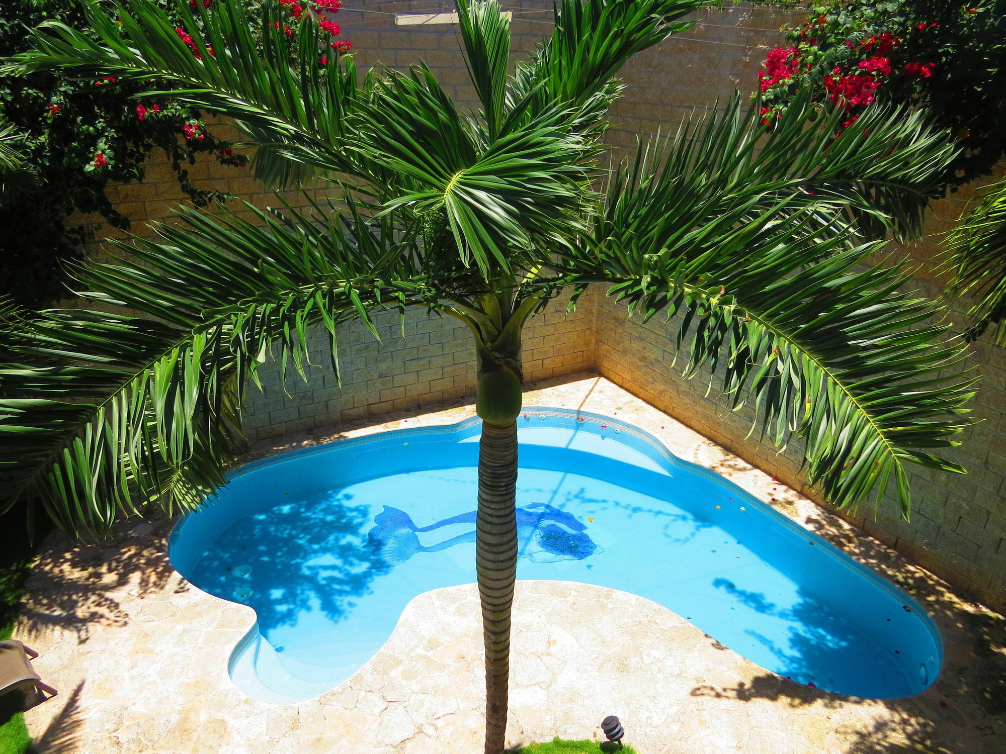 טולום Xibalba Hotel Dive Center מראה חיצוני תמונה